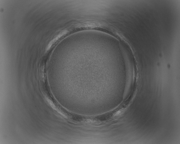 X0000052550585200507011132