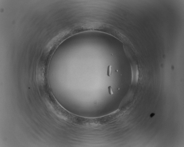 X0000052550586200507011132