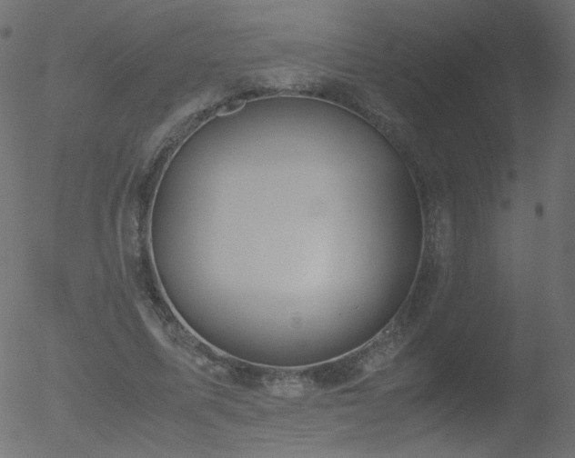 X0000052550587200507011132