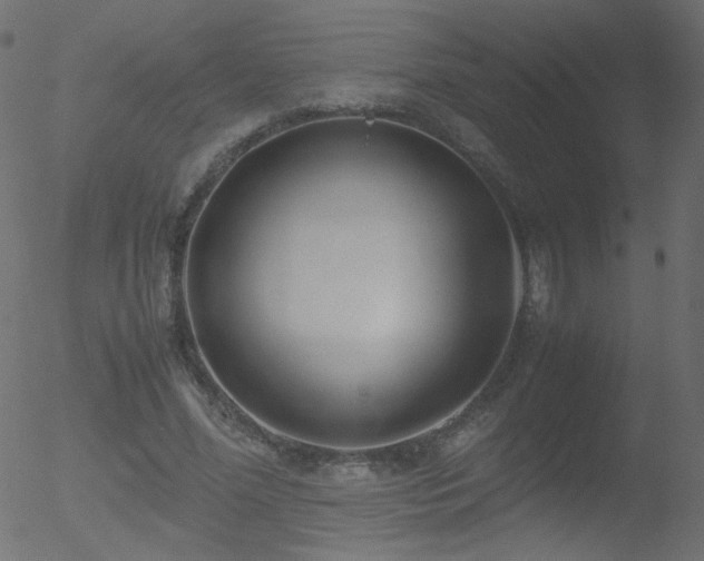 X0000052550588200507011132