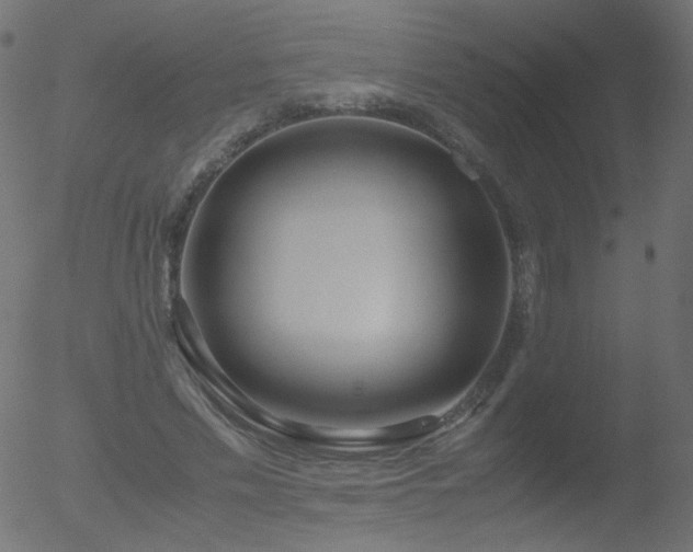 X0000052550589200507011132