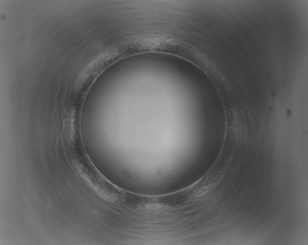 X0000052550590200507011132