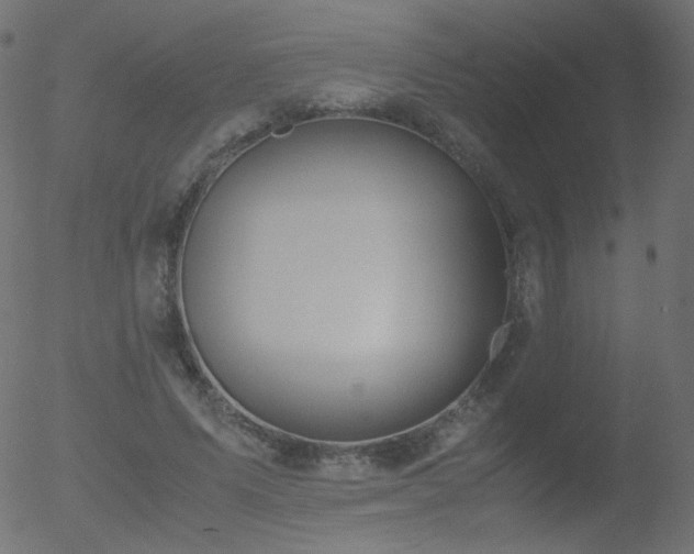 X0000052550591200507011132