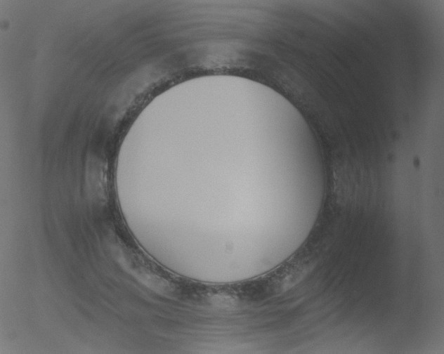 X0000052550592200507011132