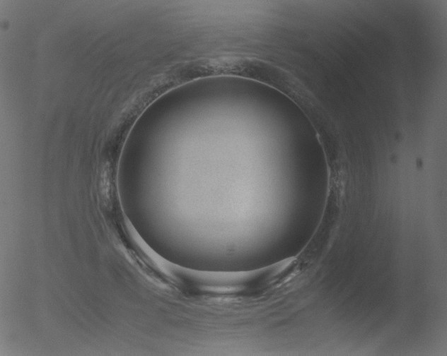 X0000052550593200507011132