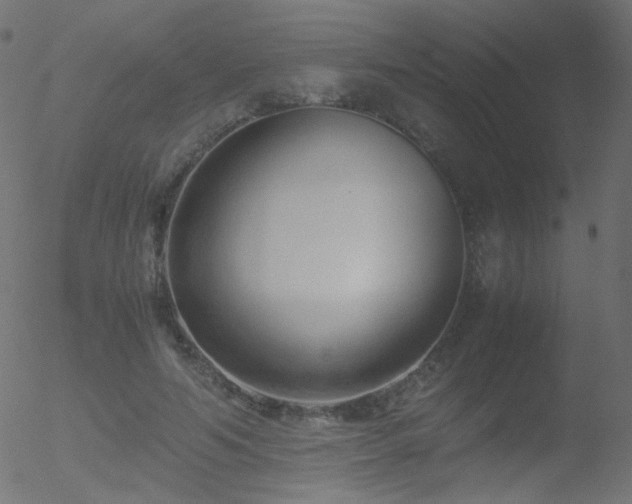 X0000052550594200507011132