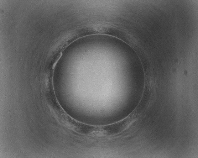 X0000052550595200507011132