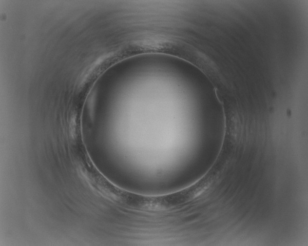 X0000052550596200507011132