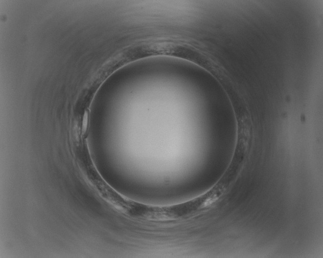 X0000052550597200507011132