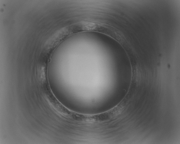 X0000052550598200507011132