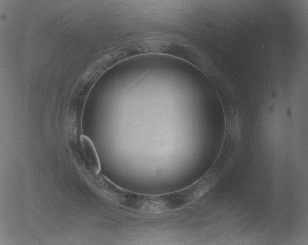 X0000052550599200507011132