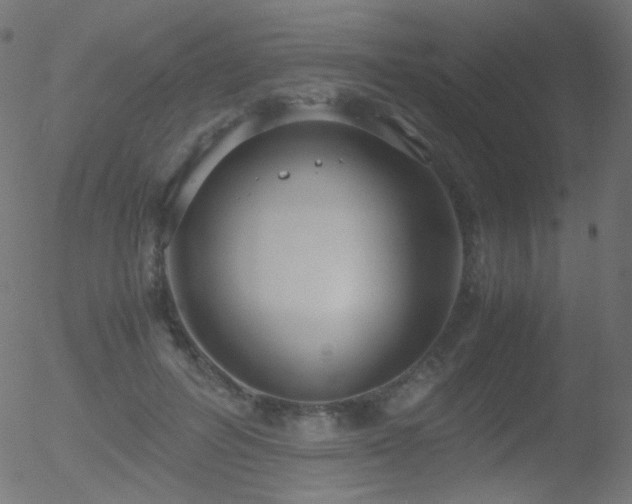 X0000052550600200507011132