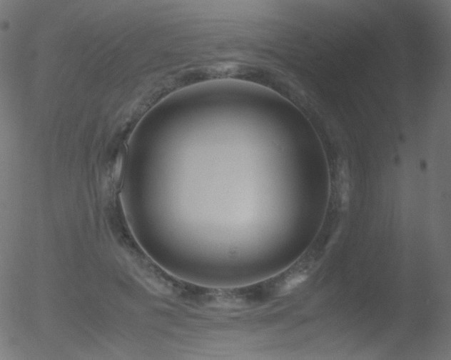 X0000052550601200507011132