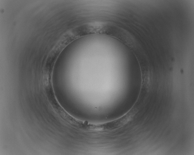 X0000052550602200507011132