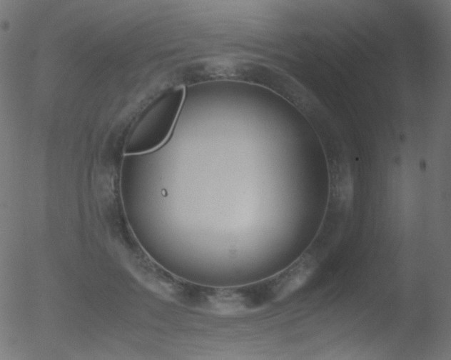 X0000052550603200507011132