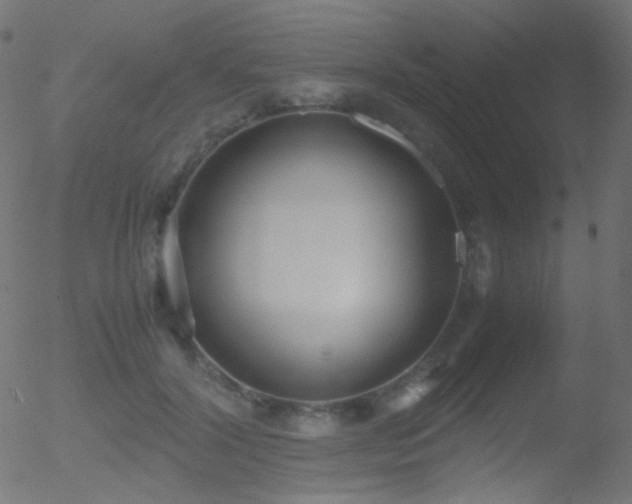 X0000052550604200507011132