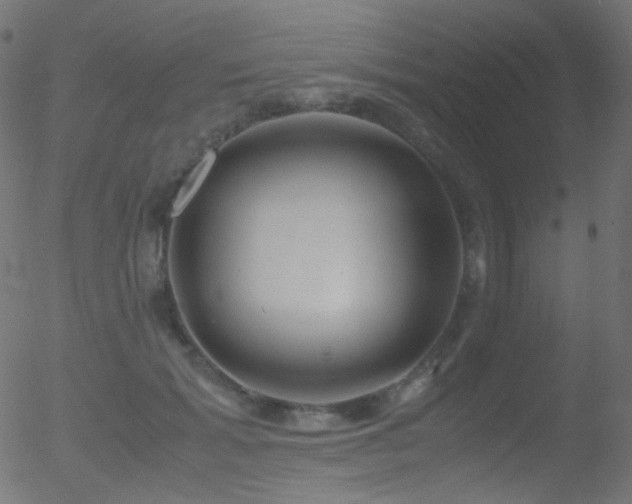 X0000052550605200507011132