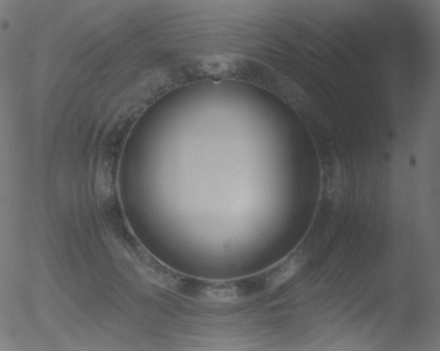 X0000052550606200507011132