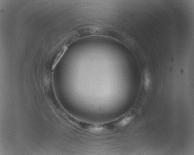 X0000052550607200507011132