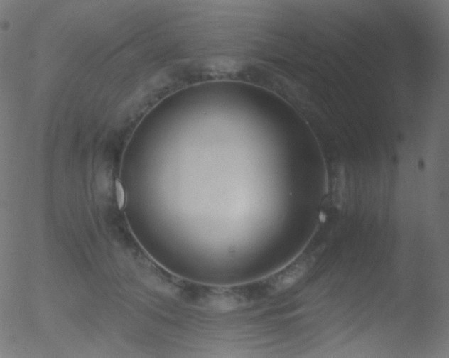 X0000052550608200507011132