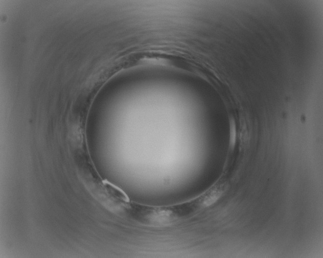 X0000052550609200507011132