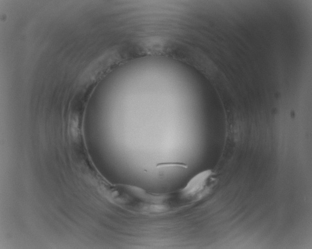 X0000052550610200507011132