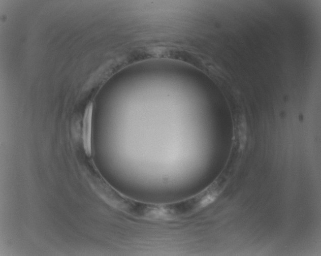 X0000052550611200507011132