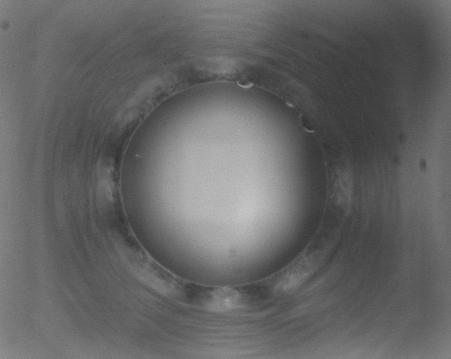 X0000052550612200507011132