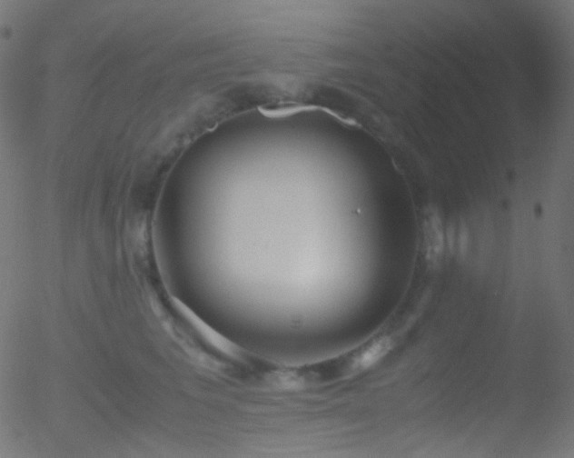 X0000052550613200507011132