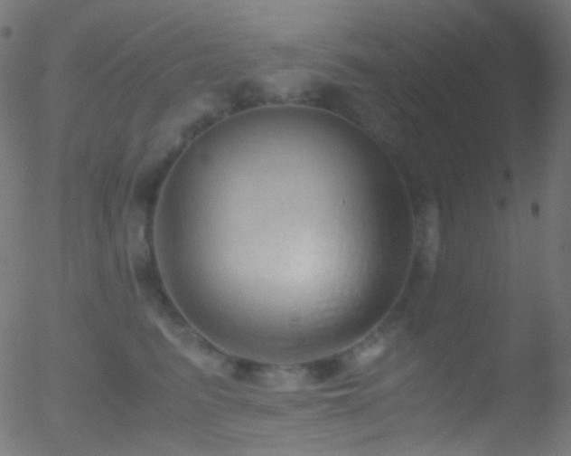 X0000052550615200507011132