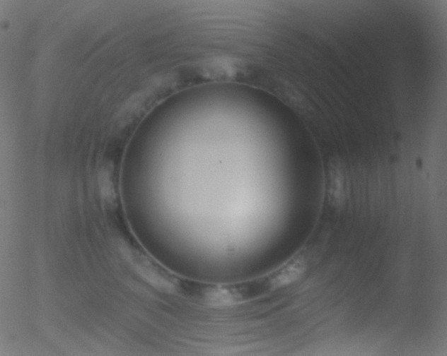 X0000052550616200507011132