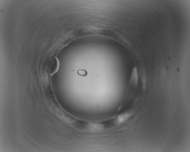 X0000052550617200507011132