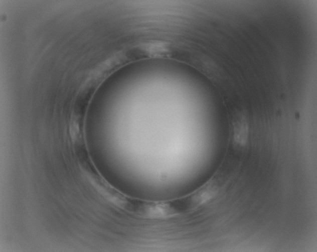 X0000052550618200507011132