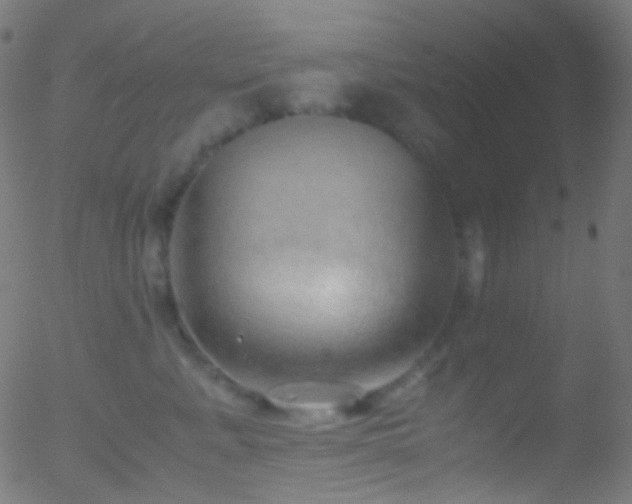 X0000052550619200507011132