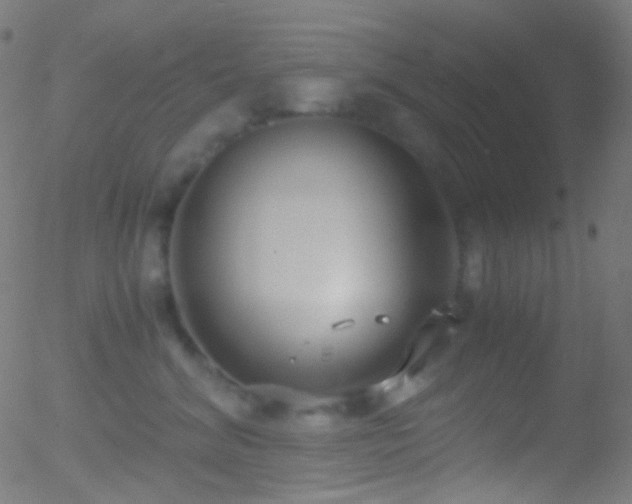 X0000052550620200507011132