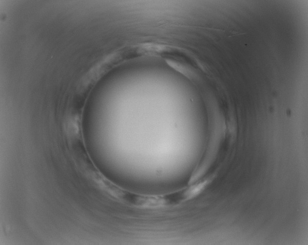 X0000052550621200507011132