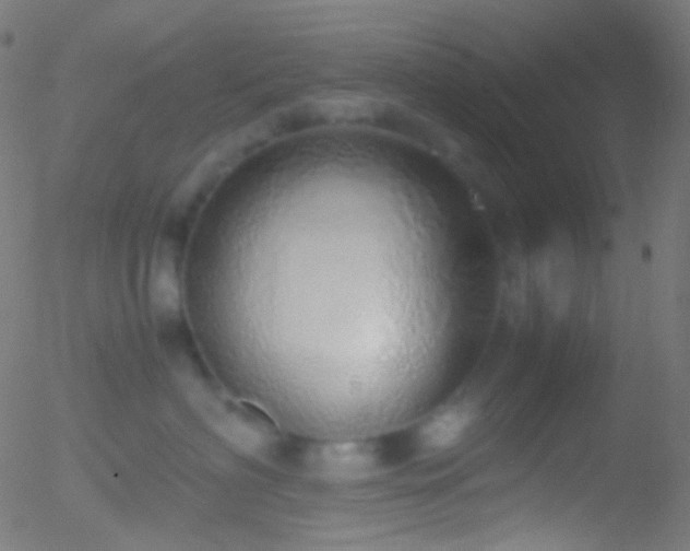 X0000052550622200507011132