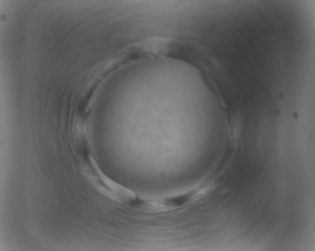 X0000052550623200507011132