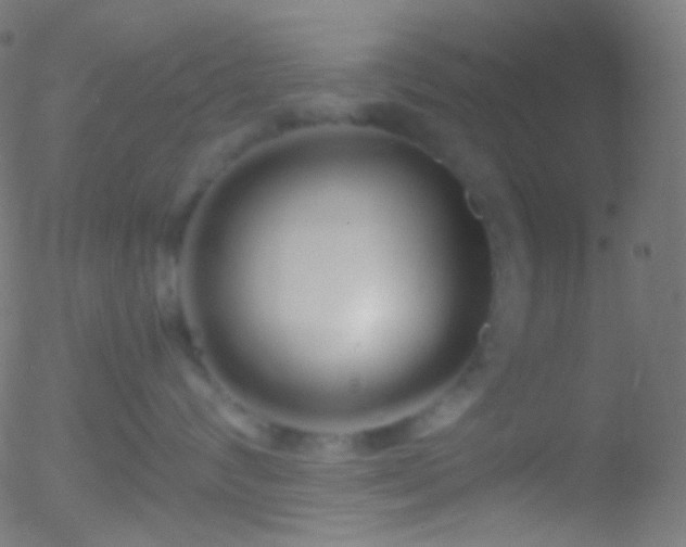 X0000052550624200507011132