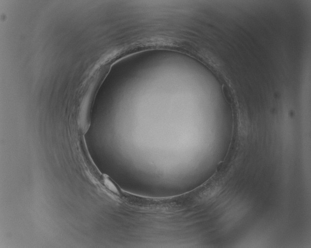 X0000052550625200507011131