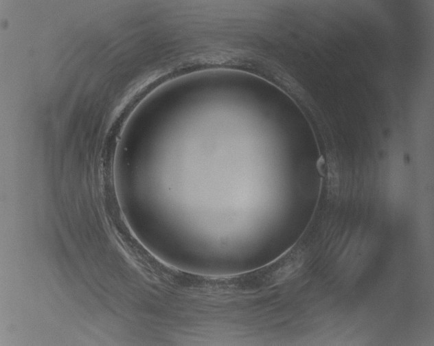 X0000052550626200507011131