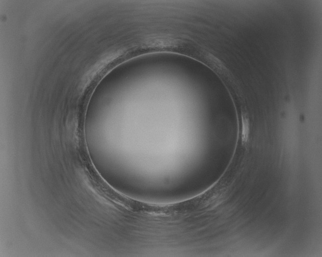 X0000052550627200507011131