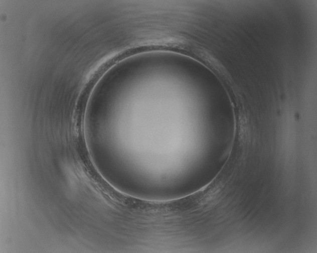 X0000052550628200507011131