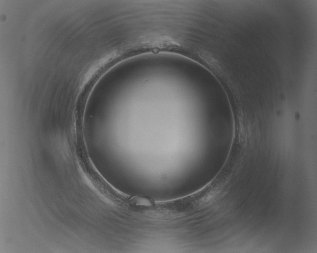 X0000052550630200507011131