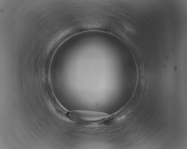 X0000052550631200507011131