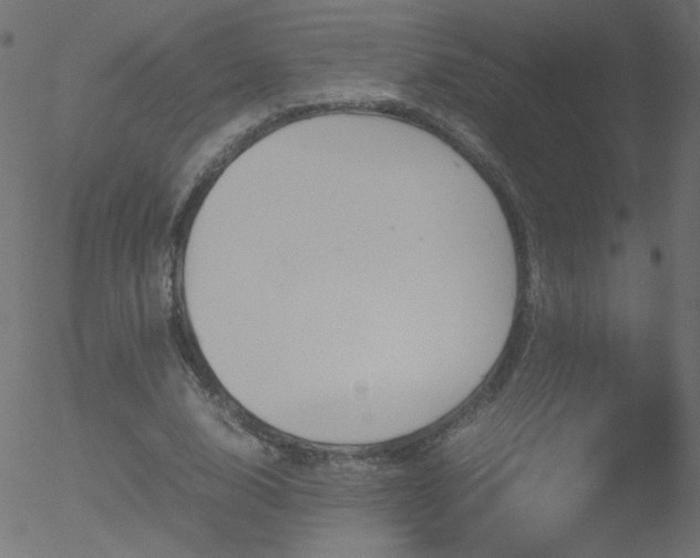 X0000052550632200507011131