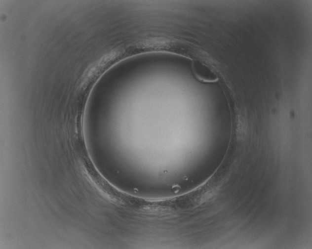 X0000052550633200507011131