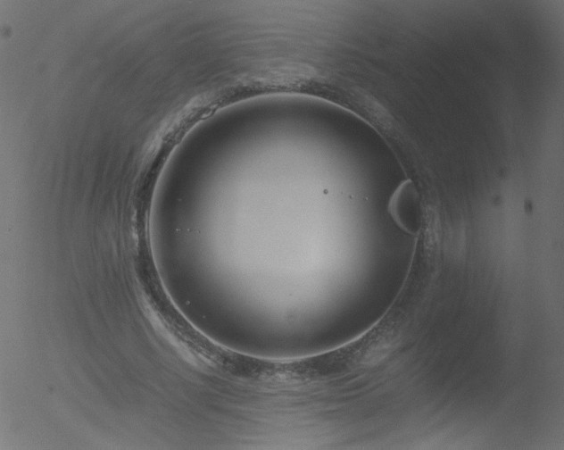 X0000052550634200507011131