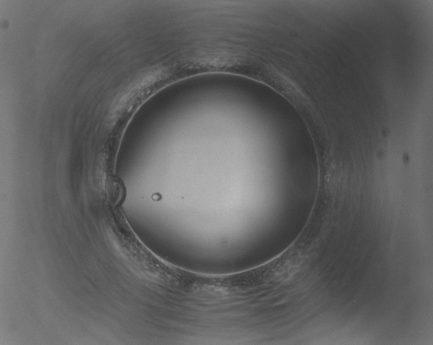 X0000052550635200507011131