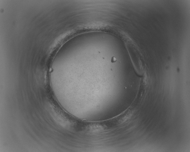 X0000052550636200507011131